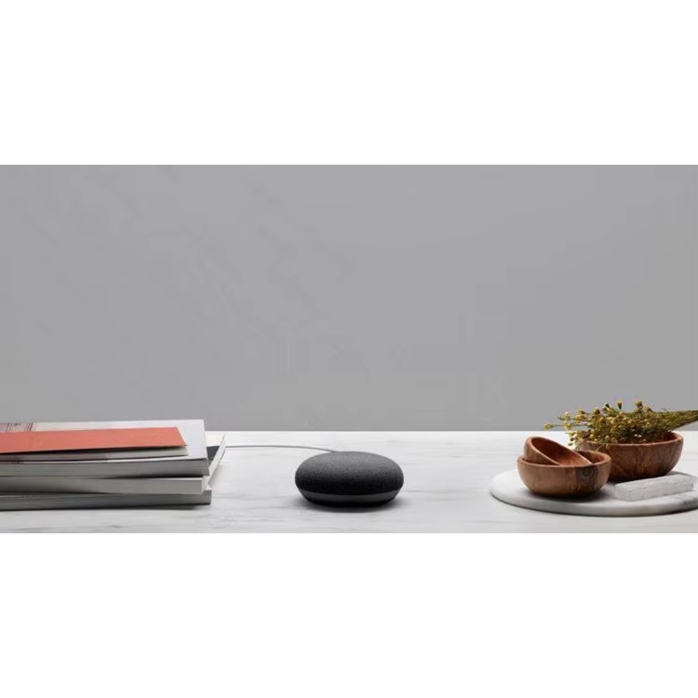 Per Google Nest Hub Max e Nest - Google Speaker Nest Hub recensione e prezzo